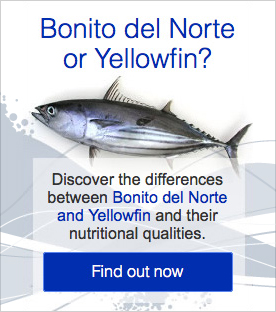 Bonito del Norte or Yellowfin?