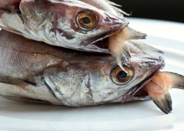 Características del pescado blanco